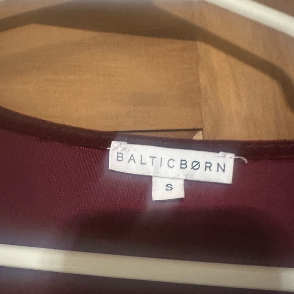 Baltic Born Burgundy Velvet Dress - Picture 3 of 5